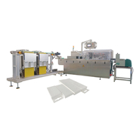 Automatic Battery Cartoning Machine